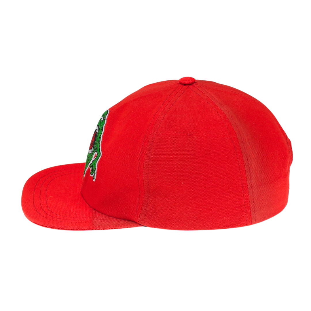 BALL CAP | NASTY SLIMER