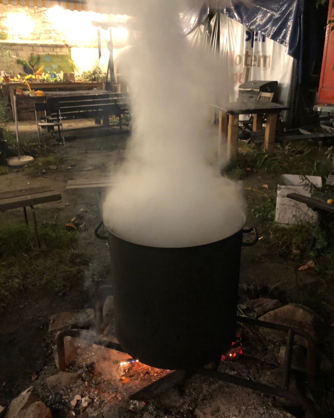 WINTER CAP | MAPLE & ASSAM