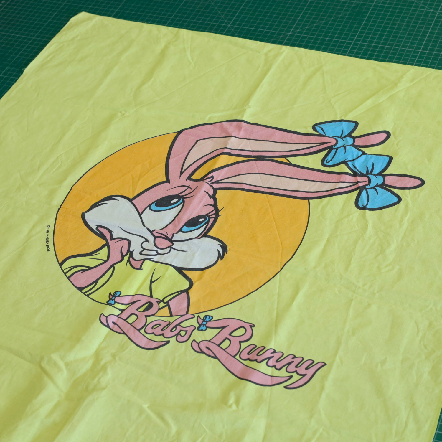 SHIRT | TINY TOON - ADVENTURES